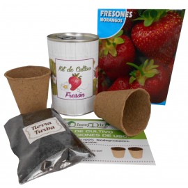 Kit de cultivo fresones en lata