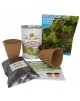 Kit de cultivo Lechuga Mezcla Baby Leaf en lata